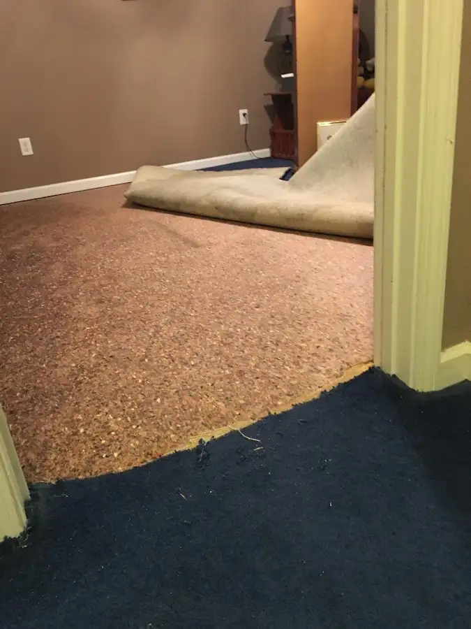 Carpet pad removal revealing water damage during Drying & Dehumidification in Rockledge