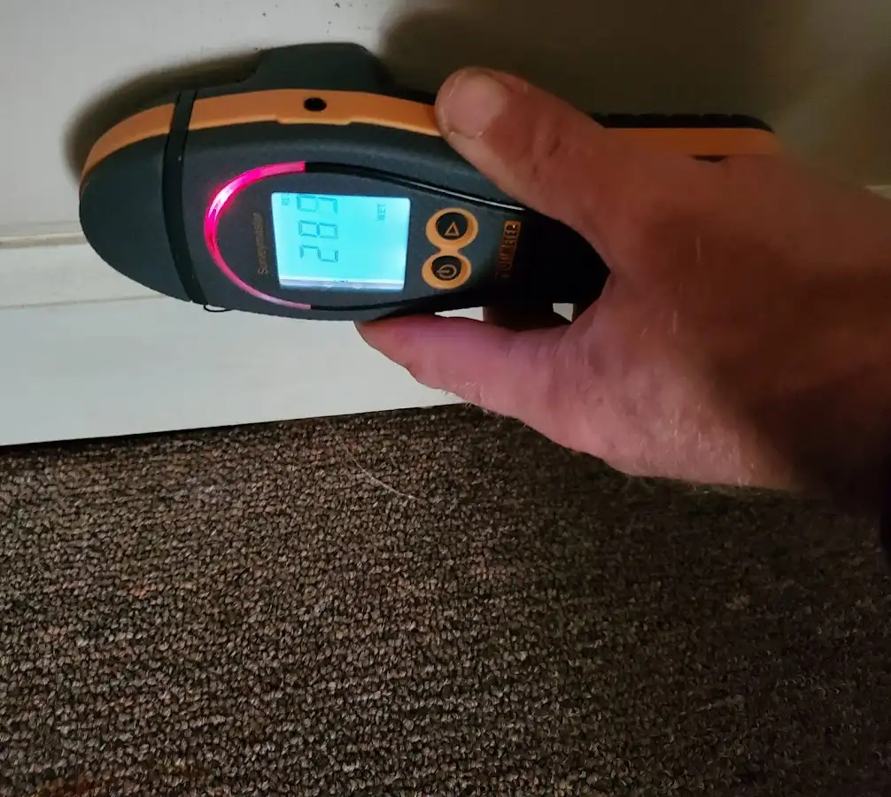 Moisture detection at baseboard during Mold Inspection & Testing in Rockledge